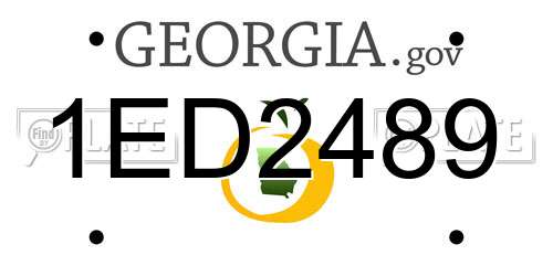 1ED2489 Georgia License Plate
