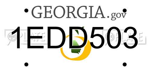 1EDD503 Georgia License Plate
