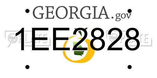1EE2828 Georgia License Plate