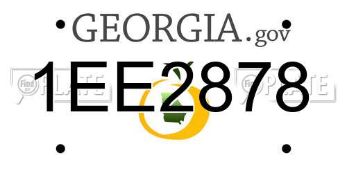 1EE2878 Georgia License Plate