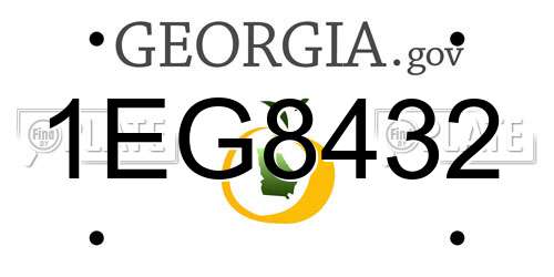 1EG8432 Georgia License Plate