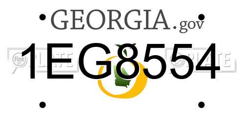 1EG8554 Georgia License Plate