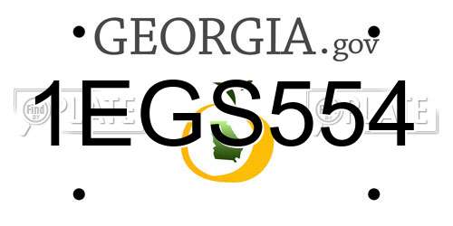 1EGS554 Georgia License Plate