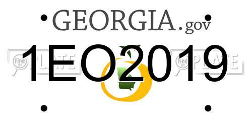 1EO2019 Georgia License Plate