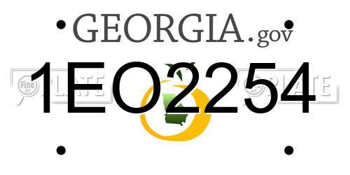 1EO2254 Georgia License Plate