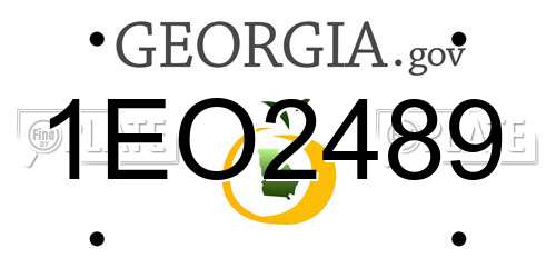 1EO2489 Georgia License Plate