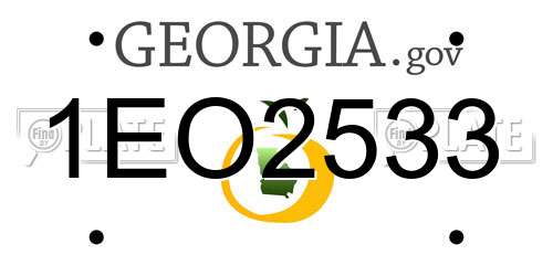 1EO2533 Georgia License Plate