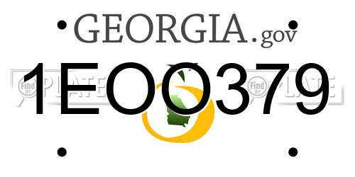 1EOO379 Georgia License Plate