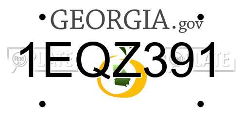 1EQZ391 Georgia License Plate