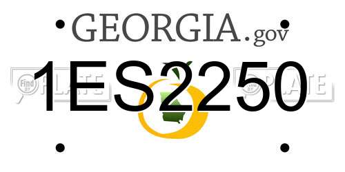 1ES2250 Georgia License Plate