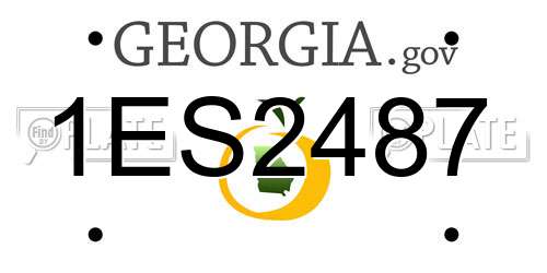 1ES2487 Georgia License Plate