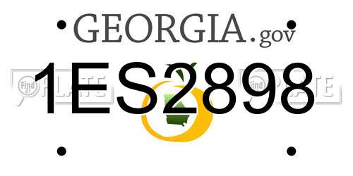 1ES2898 Georgia License Plate