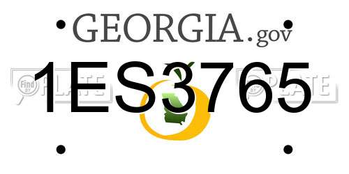 1ES3765 Georgia License Plate