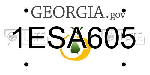 1ESA605 Georgia License Plate