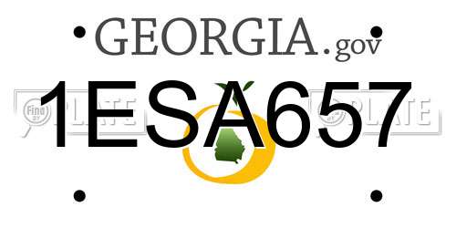 1ESA657 Georgia License Plate