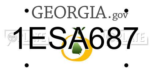 1ESA687 Georgia License Plate