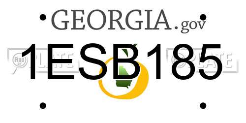 1ESB185 Georgia License Plate