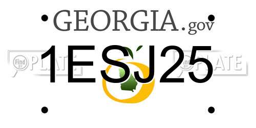 1ESJ25 Georgia License Plate