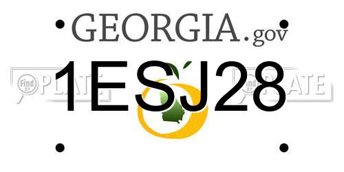 1ESJ28 Georgia License Plate