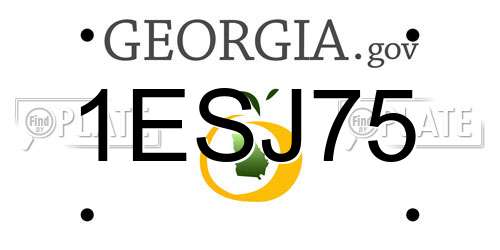 1ESJ75 Georgia License Plate