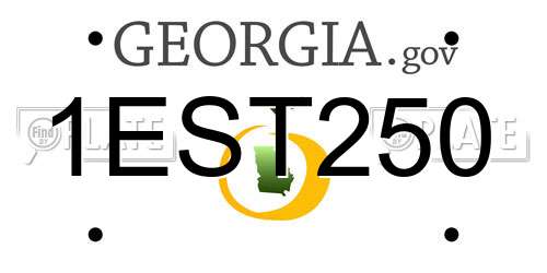 1EST250 Georgia License Plate
