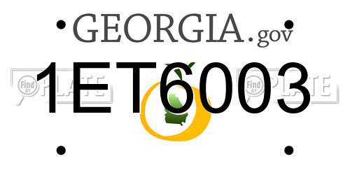1ET6003 Georgia License Plate
