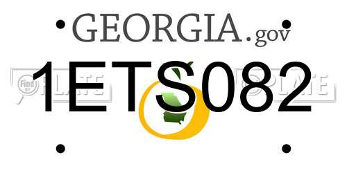1ETS082 Georgia License Plate