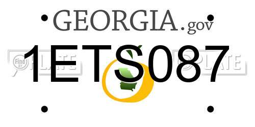 1ETS087 Georgia License Plate