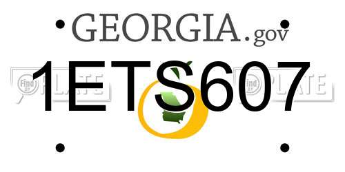 1ETS607 Georgia License Plate