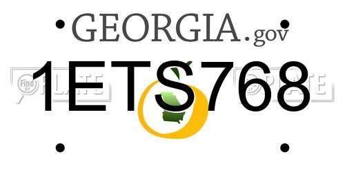 1ETS768 Georgia License Plate