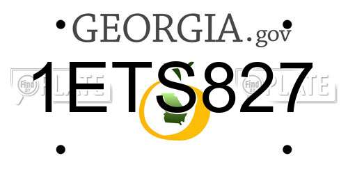 1ETS827 Georgia License Plate
