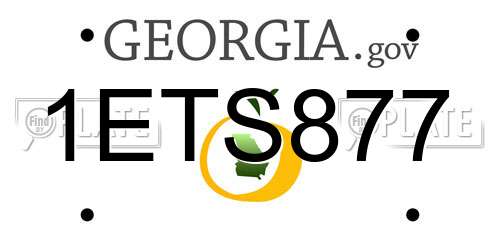 1ETS877 Georgia License Plate