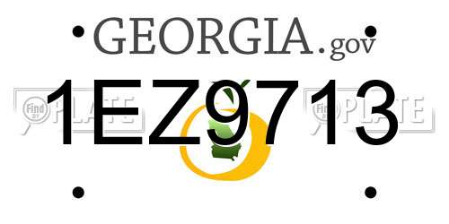 1EZ9713 Georgia License Plate
