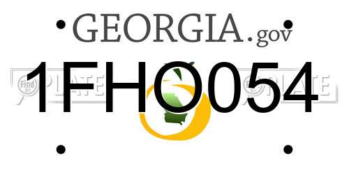 1FHO054 Georgia License Plate