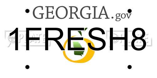 1FRESH8 Georgia License Plate