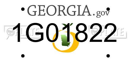 1G01822 Georgia License Plate