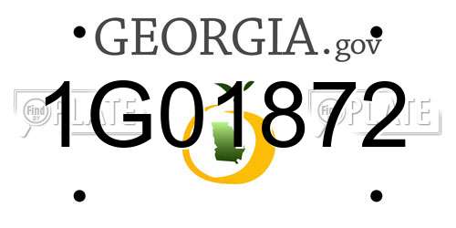 1G01872 Georgia License Plate