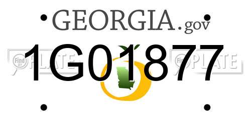 1G01877 Georgia License Plate