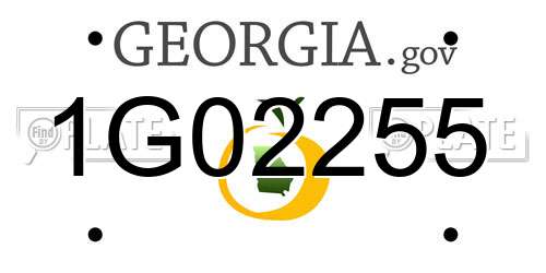 1G02255 Georgia License Plate