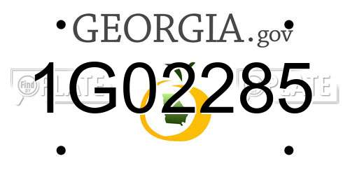 1G02285 Georgia License Plate