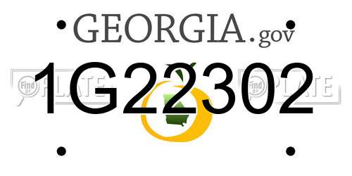 1G22302 Georgia License Plate