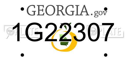 1G22307 Georgia License Plate