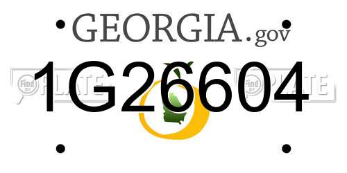 1G26604 Georgia License Plate