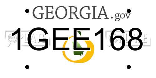 1GEE168 Georgia License Plate