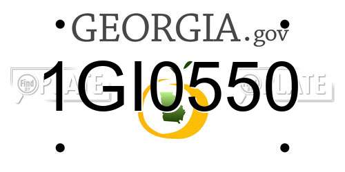 1GI0550 Georgia License Plate