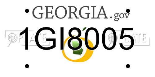 1GI8005 Georgia License Plate