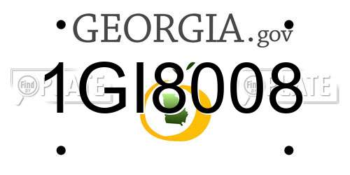 1GI8008 Georgia License Plate