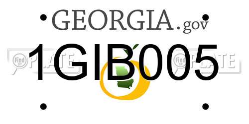 1GIB005 Georgia License Plate
