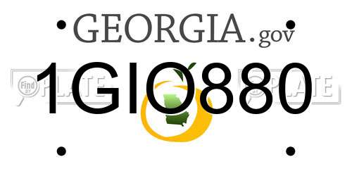 1GIO880 Georgia License Plate