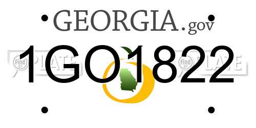 1GO1822 Georgia License Plate